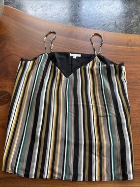 Socialite Black Striped Satin V-Neck Cami with Gold, Green, White, Tan
